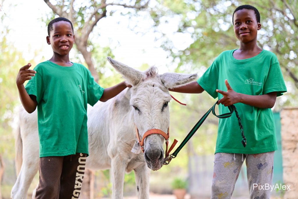 children smiling with donkey